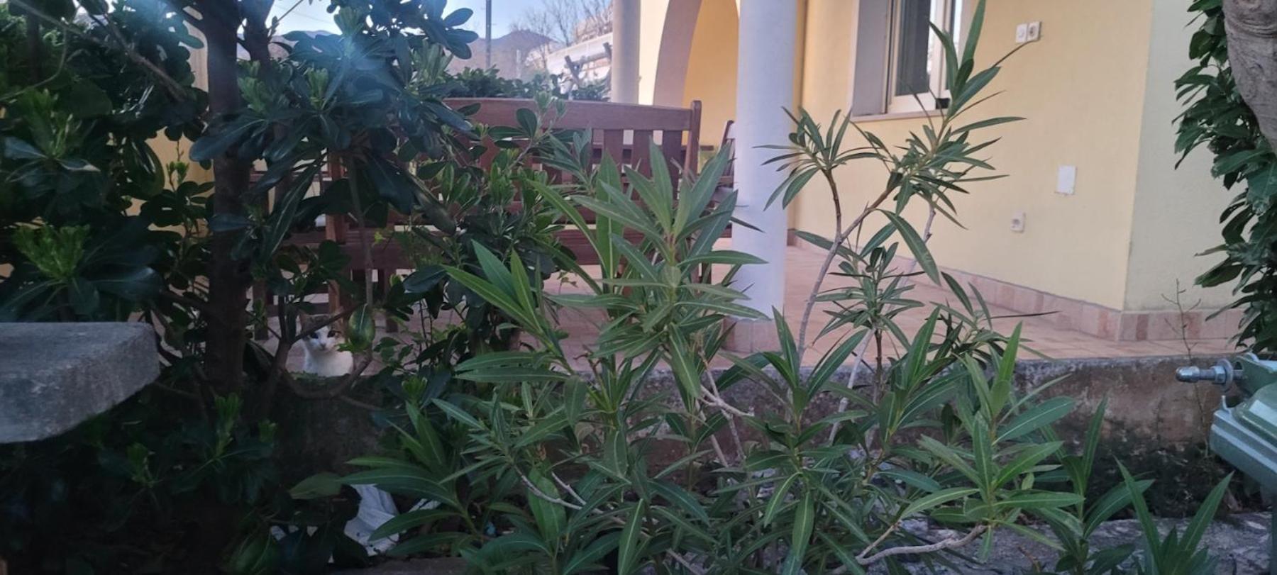 Apartmani Sanja كلينوفيتسا المظهر الخارجي الصورة